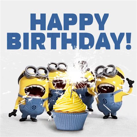 birthday gif|Funny Happy Birthday GIF Collection